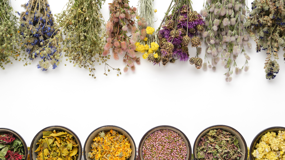 🌿 Fitocomplesso: il segreto dell’efficacia naturale nella cosmetica moderna